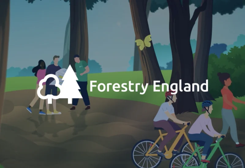 Internal comms produced for our client Forestry England.