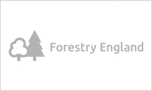 Our client Forestry England logo for internal comms.